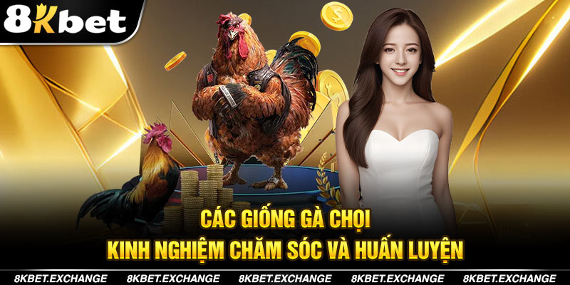 Các Giống Gà Chọi - Kinh Nghiệm Chăm Sóc và Huấn Luyện